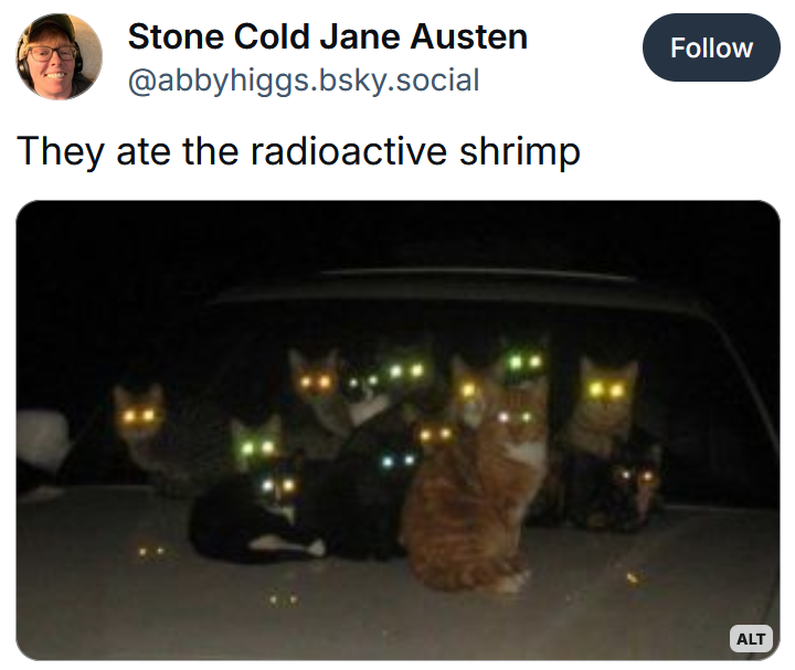 Radioactive shrimp meme with a photo of several cats sitting on a car with glowing eyes.