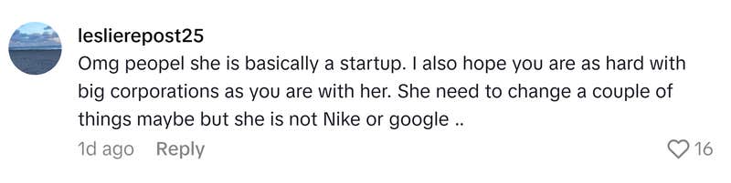 TikTok comment that reads, "Omg peopel she is basically a startup. I also hope you are as hard with big corporations as you are with her. She need to change a couple of things maybe but she is not Nike or google .."