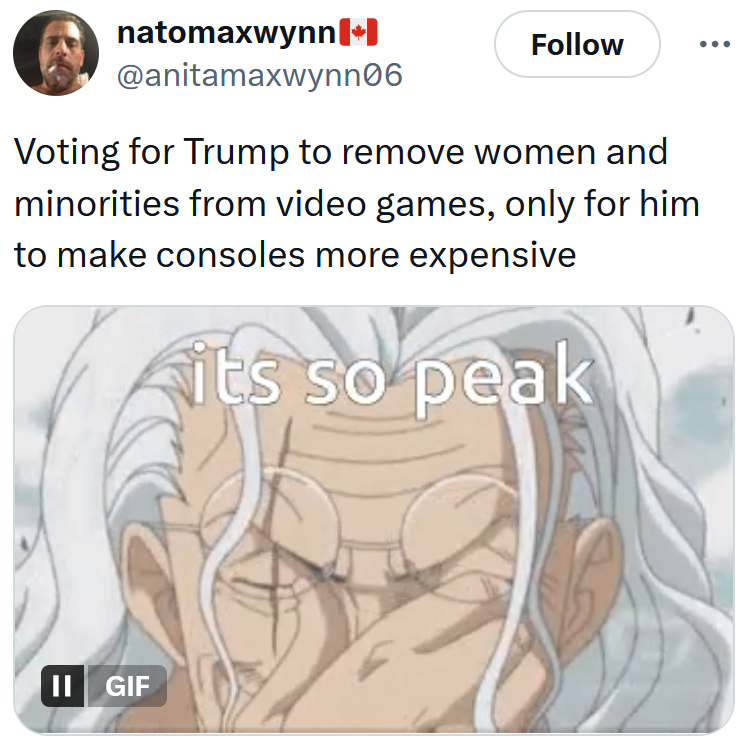 Tweet reading 'Voting for Trump to remove women and minorities from video games, only for him to make consoles more expensive'