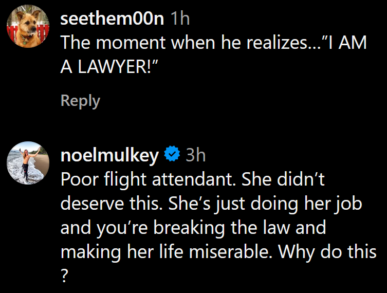 Instagram comments including one reading 'Poor flight attendant. She didn’t deserve this. She’s just doing her job and you’re breaking the law and making her life miserable. Why do this?'