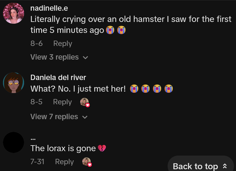 TikTok comments including one reading 'Literally crying over an old hamster I saw for the first time 5 minutes ago'