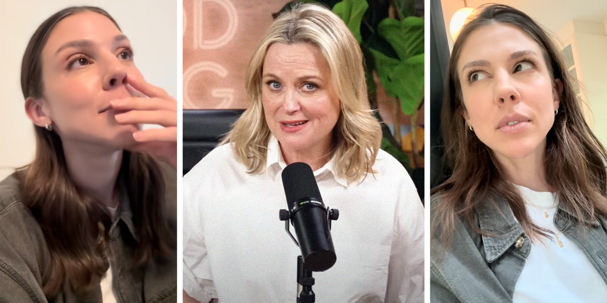 amy poehler podcast scam