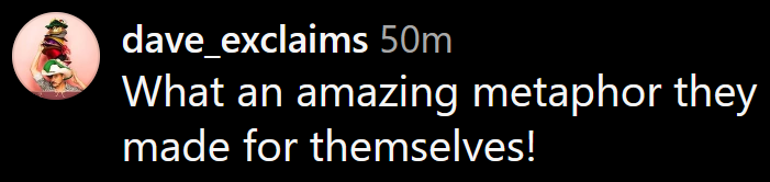 Instagram comment reading 'What an amazing metaphor they made for themselves!'
