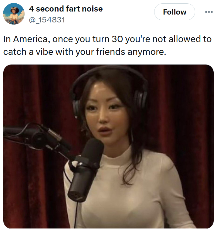 Tweet reading 'In America, once you turn 30 you're not allowed to catch a vibe with your friends anymore.'