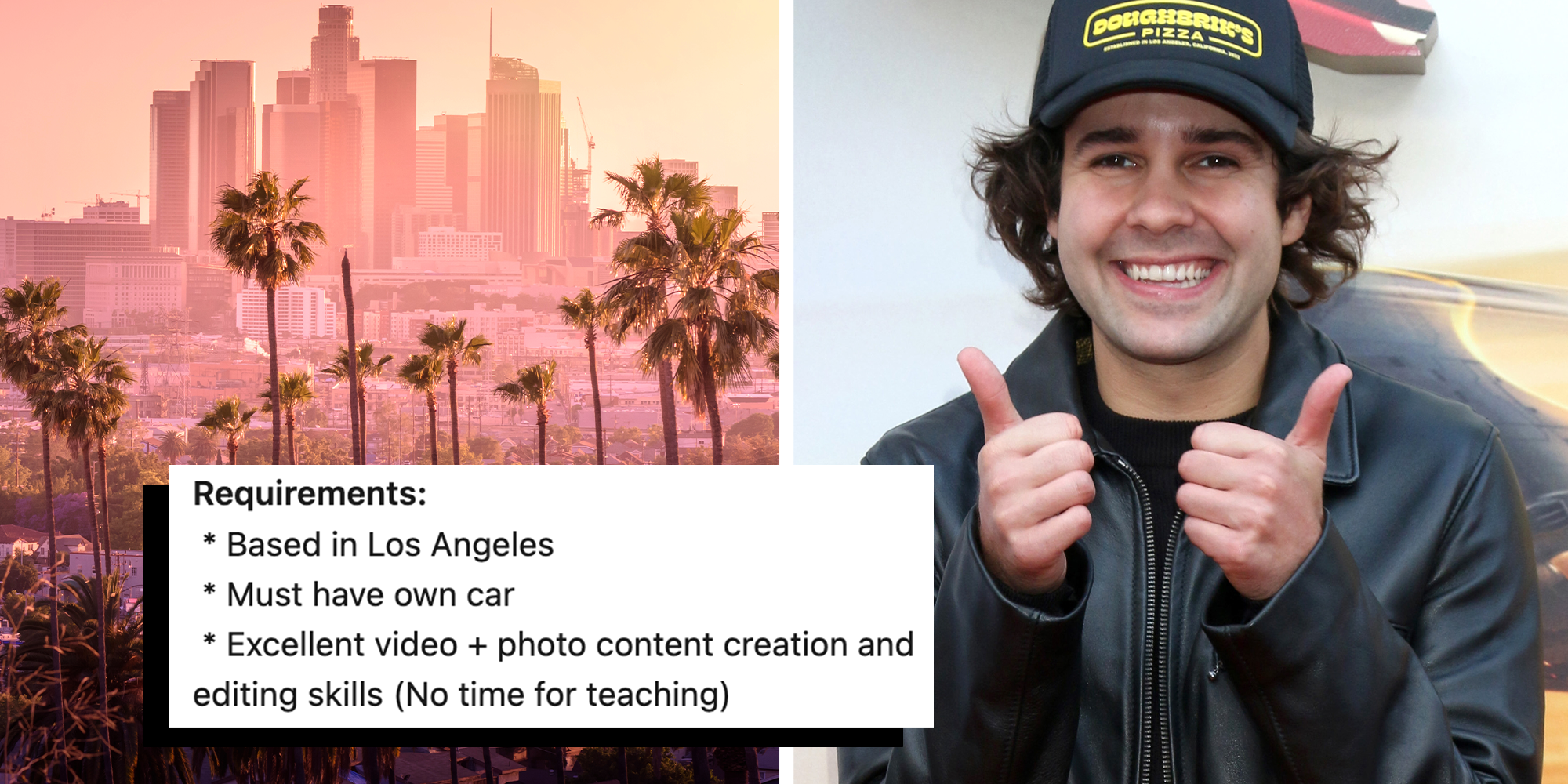 david dobrik no time for teaching job listing