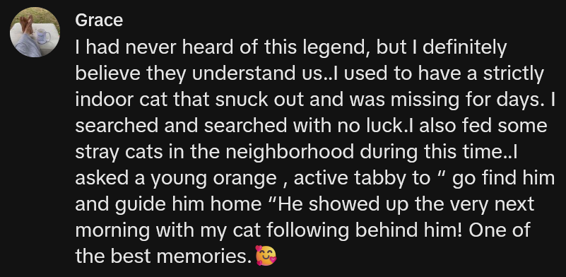 TikTok comment reading 'I had never heard of this legend, but I definitely believe they understand us..I used to have a strictly indoor cat that snuck out and was missing for days. I searched and searched with no luck.I also fed some stray cats in the neighborhood during this time..I asked a young orange , active tabby to “ go find him and guide him home “He showed up the very next morning with my cat following behind him! One of the best memories.'