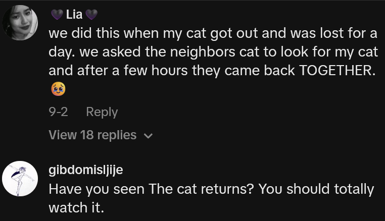 TikTok comments including one reading 'we did this when my cat got out and was lost for a day. we asked the neighbors cat to look for my cat and after a few hours they came back TOGETHER.'