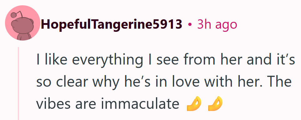 Reddit comment reading 'I like everything I see from her and it’s so clear why he’s in love with her. The vibes are immaculate'
