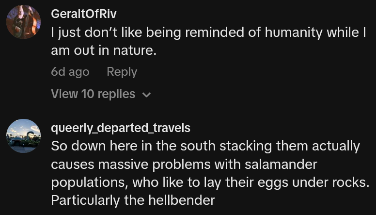 TikTok comments including one reading 'So down here in the south stacking them actually causes massive problems with salamander populations, who like to lay their eggs under rocks. Particularly the hellbender'
