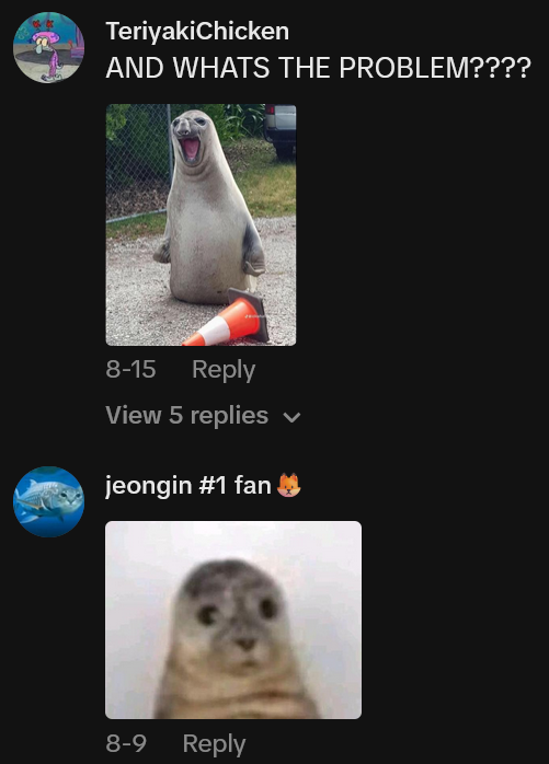 TikTok comments with images of seals.