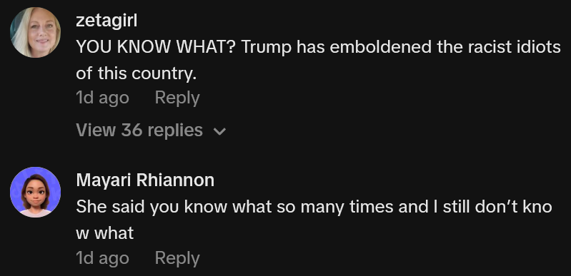 TikTok comments including one reading 'YOU KNOW WHAT? Trump has emboldened the racist idiots of this country.'