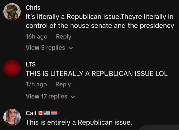 TikTok comments including one reading 'It’s literally a Republican issue.Theyre literally in control of the house senate and the presidency'