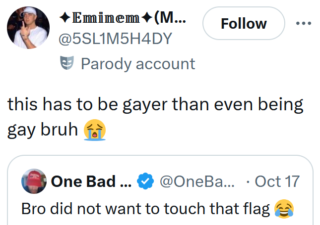 Tweet reading 'this has to be gayer than even being gay bruh'