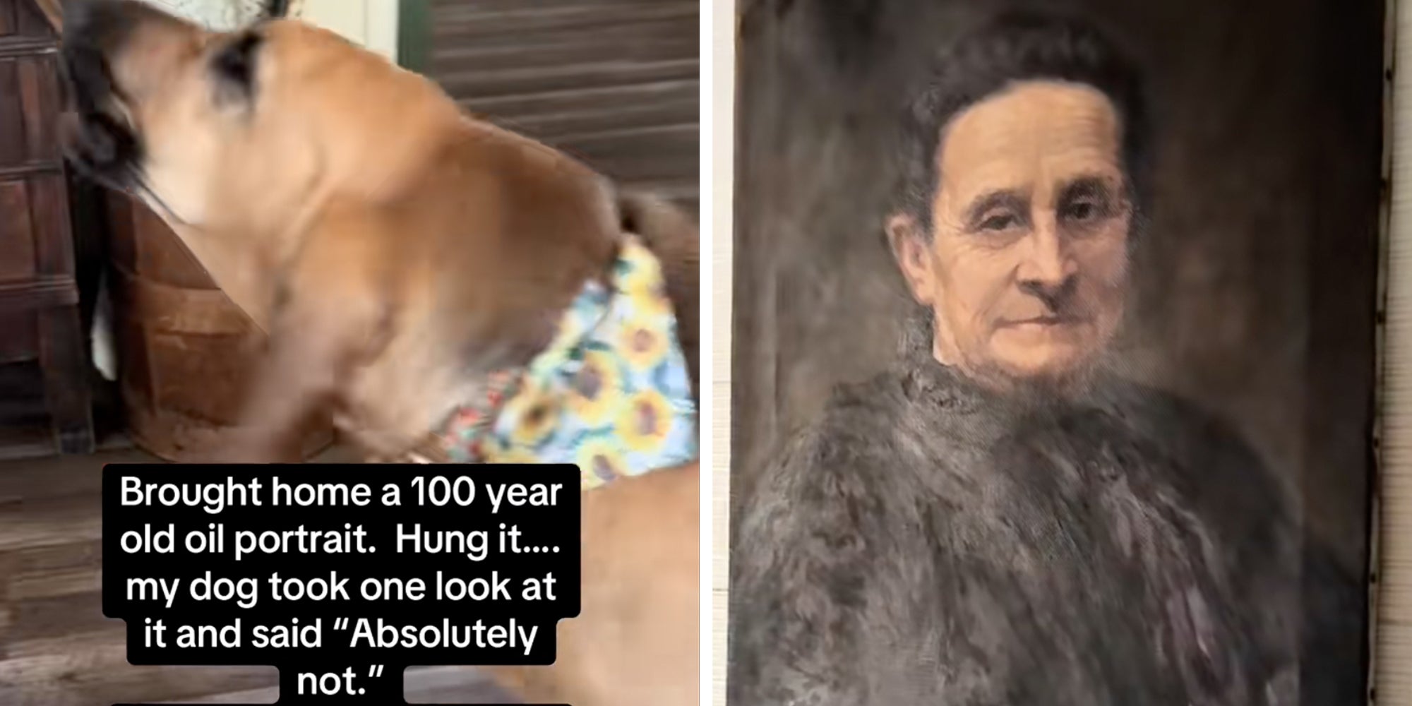 Left: Barking hound dog, caption overlay reads, 'Brought home a 100 year old oil portrait. Hung it... my dog took one look at it and said 'Absolutely not.'' Right: 100-year-old oil painting of a a woman dressed in black.