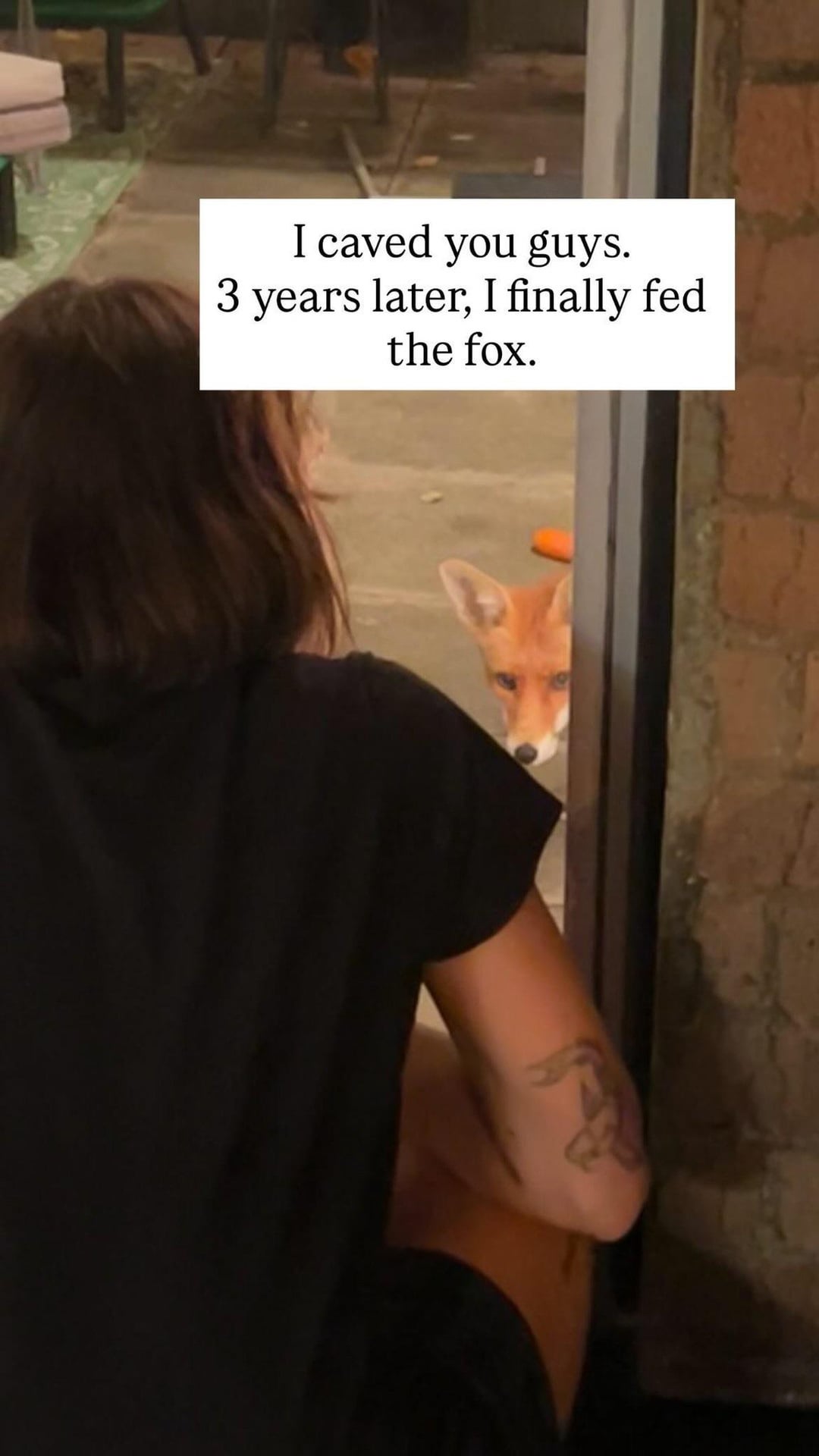 Instagram video showing Ella Purnell feeding a fox in her backyard.