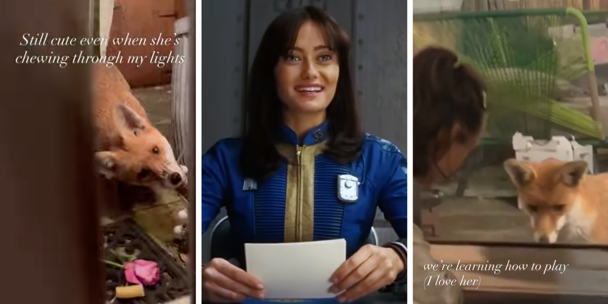 ella purnell domesticates fox