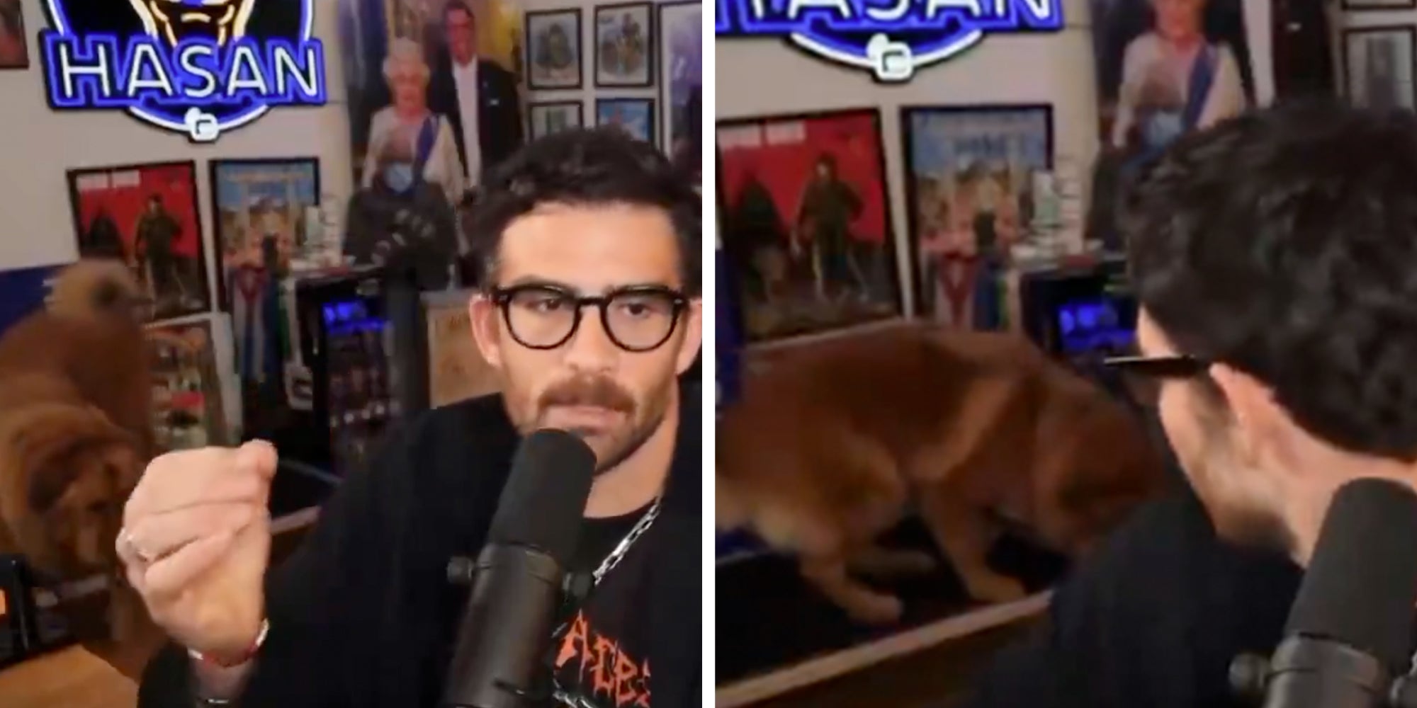 Livestreamer Hasan Piker speaking into the microphone as his dog Kaya settles onto her bed in the background.