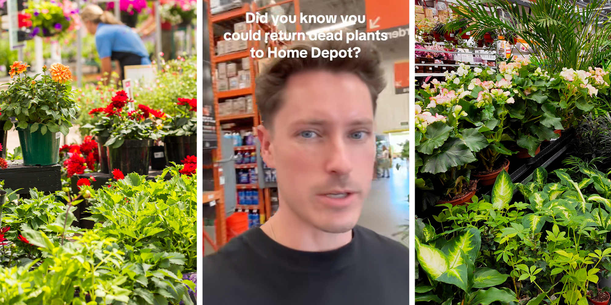 home depot dead plants return policy