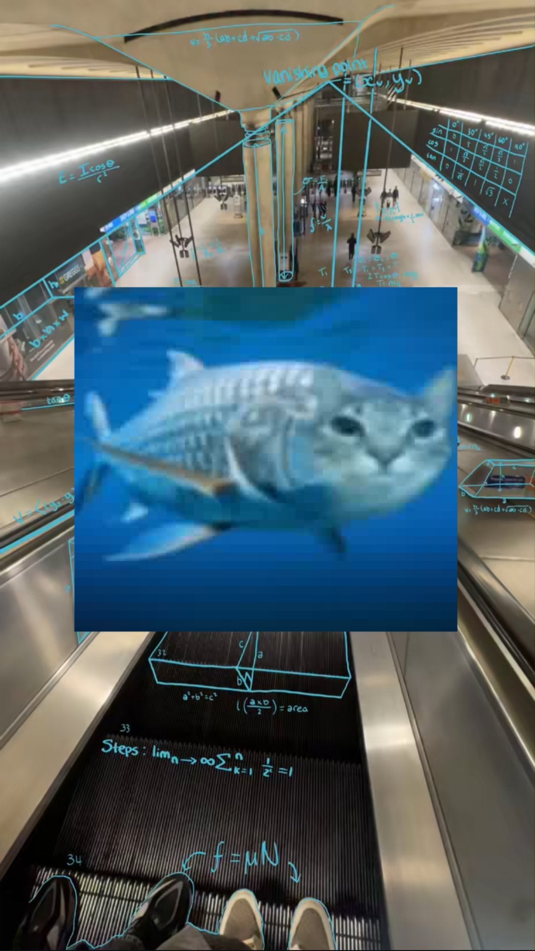 'How a mathematician sees the world' meme representing marine biologists.