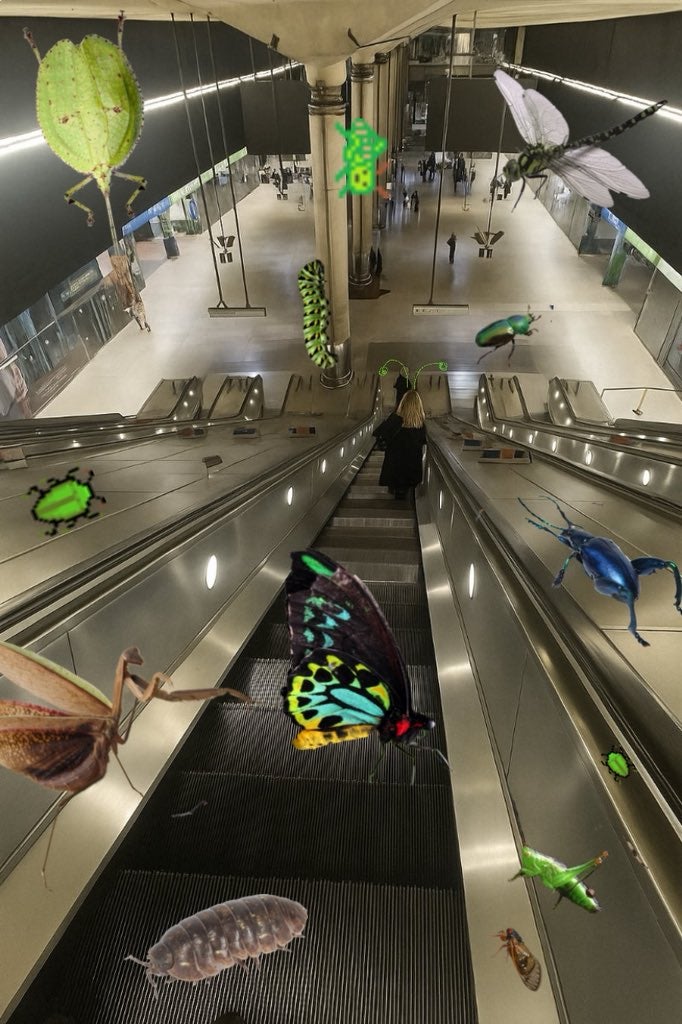 'How a mathematician sees the world' meme representing etymologists.