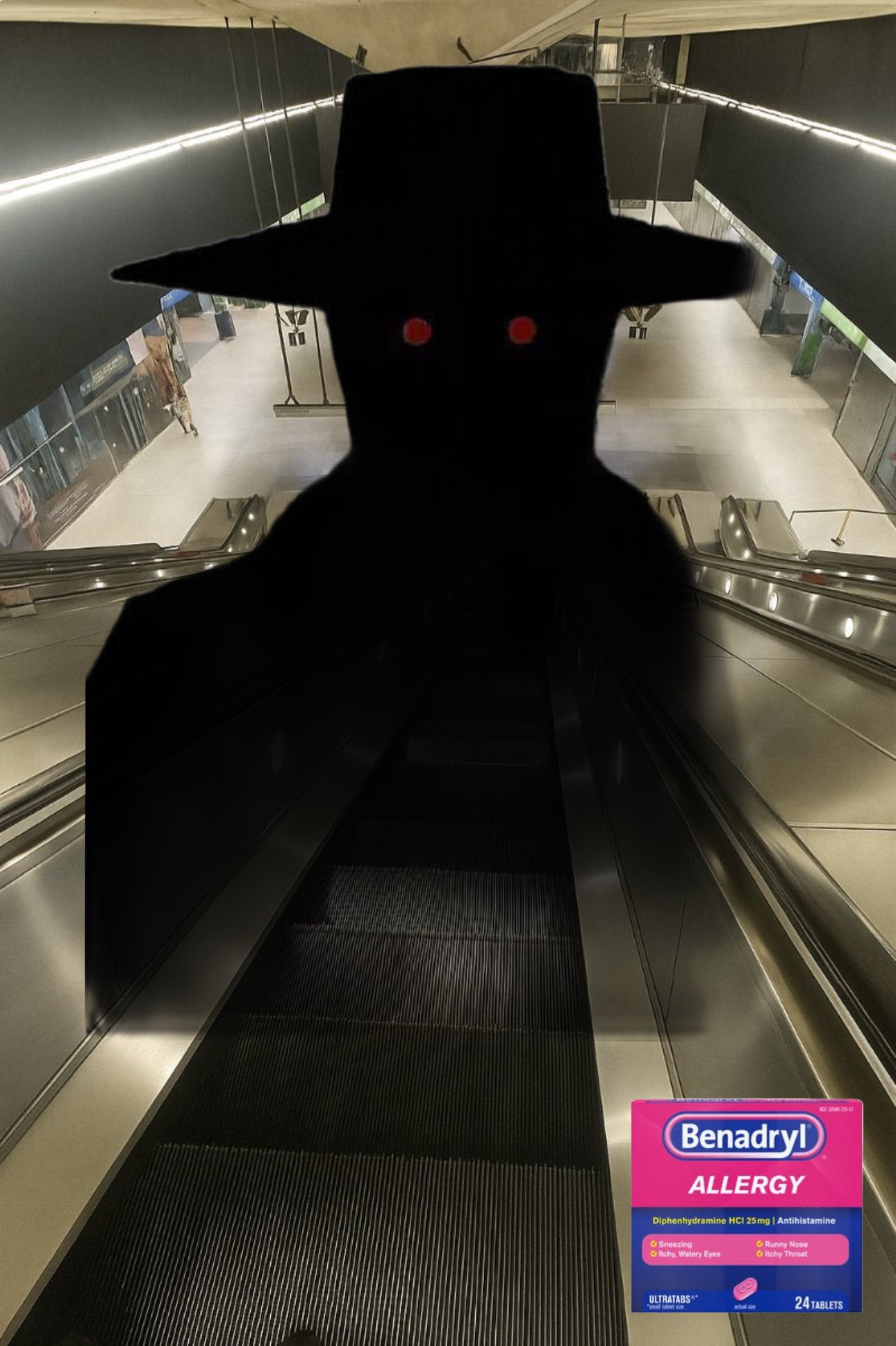 'How a mathematician sees the world' meme representing Benadryl enjoyers.