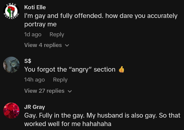 TikTok comments including one reading 'I'm gay and fully offended. how dare you accurately portray me'