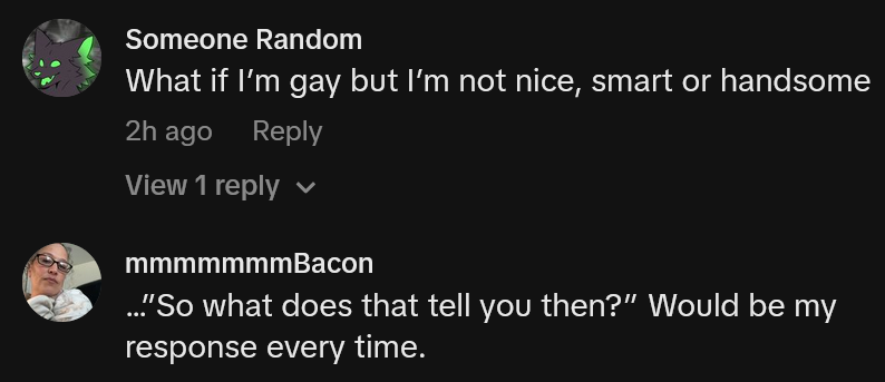TikTok comments including one reading 'What if I’m gay but I’m not nice, smart or handsome'