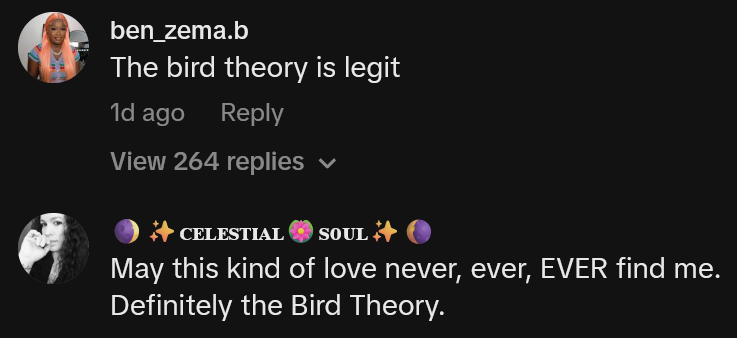 TikTok comments including one reading 'The bird theory is legit'