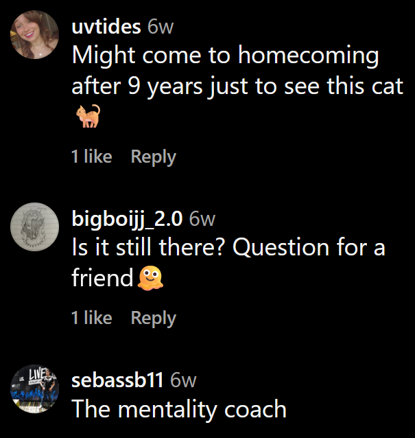 Instagram comments including one reading 'Might come to homecoming after 9 years just to see this cat'
