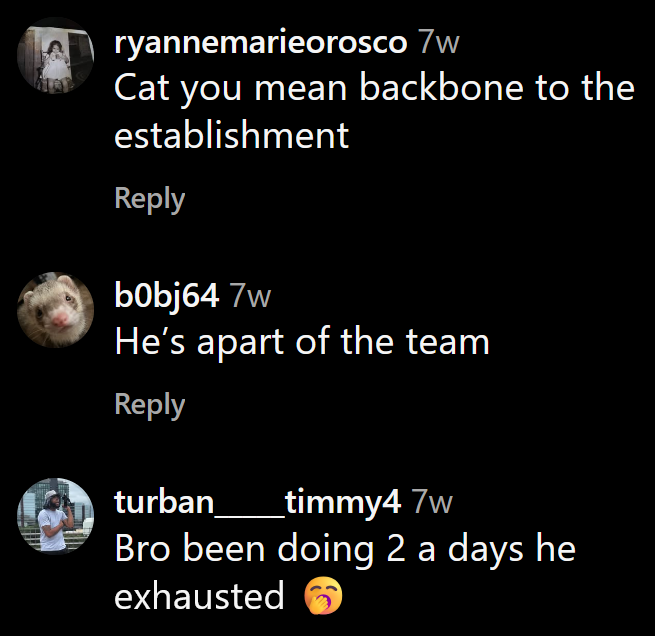 Instagram comments including one reading 'Cat you mean backbone to the establishment'