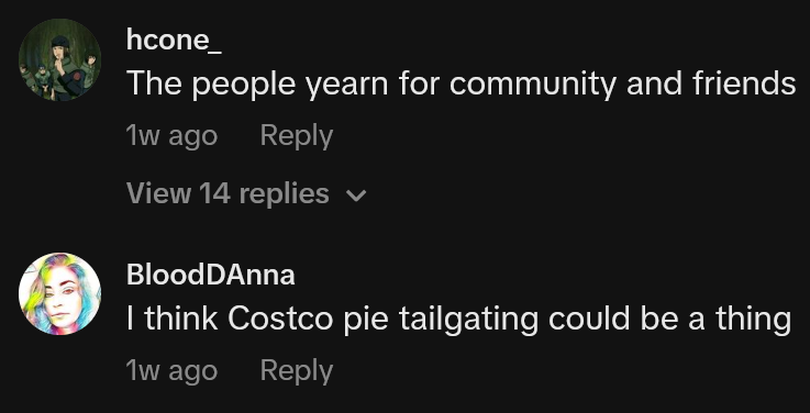 TikTok comments including one reading 'The people yearn for community and friends'