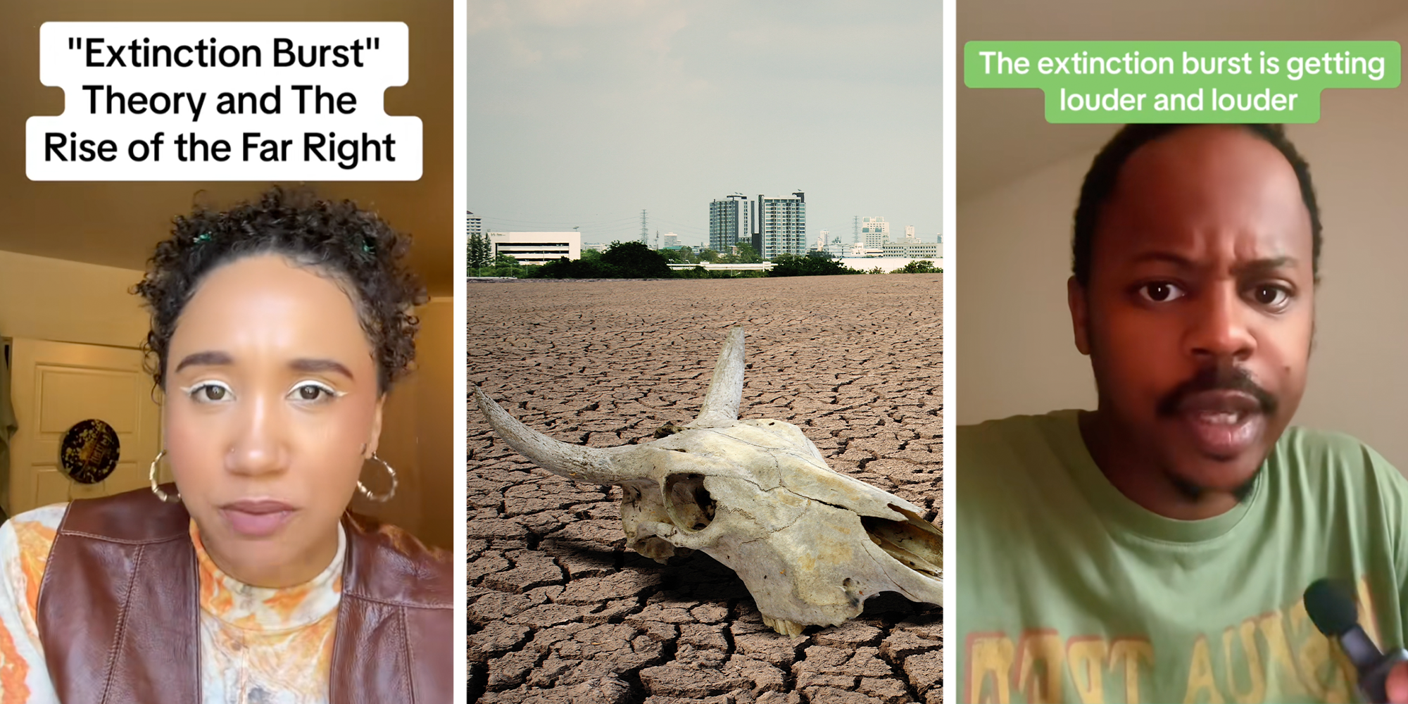 what is an extinction burst tiktok theory