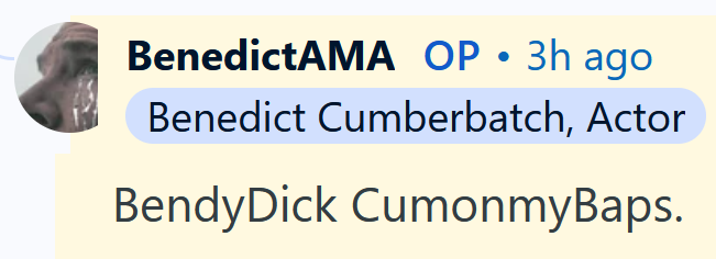 Benedict Cumberbatch AMA answer reading 'BendyDick CumonmyBaps.'