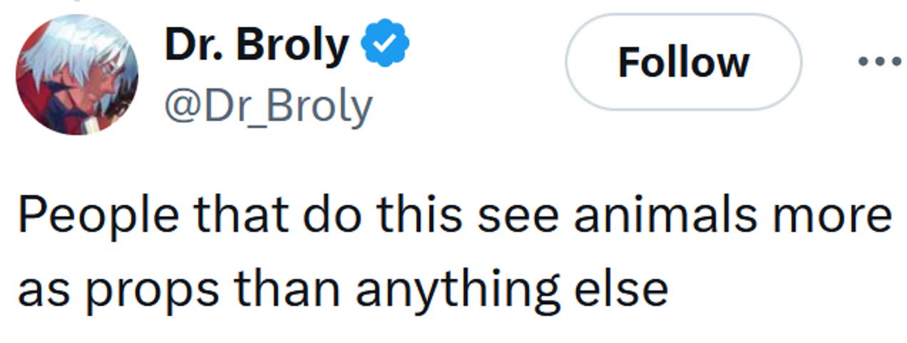 Tweet lendo 'As pessoas que fazem isso veem os animais mais como acessórios do que qualquer outra coisa'