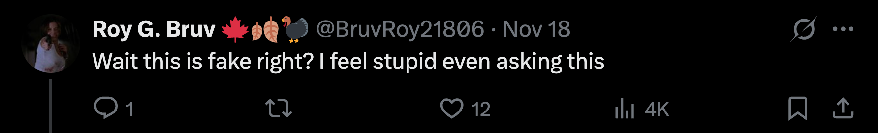 “Wait this is fake right? I feel stupid even asking this.”