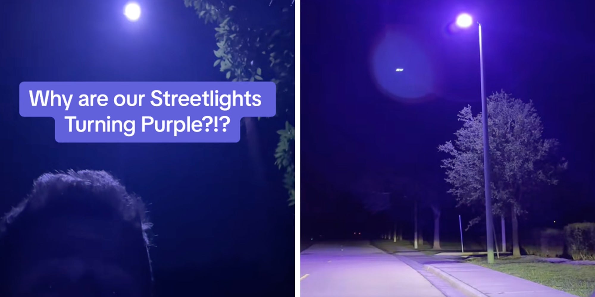 Left: Man standing below a purple-hued street light in Los Angeles, text overlay reads, 'Why are our streetlights turning purple?'. Right: A light pole in Los Angeles shining a purple light.