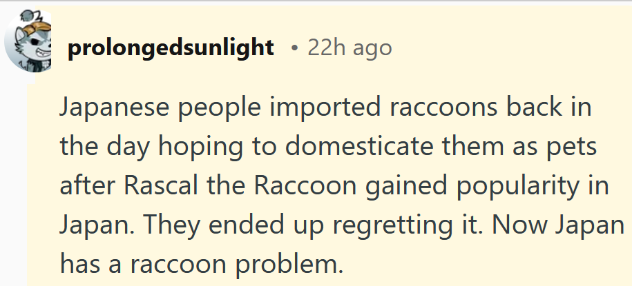 Reddit comment reading 'Japanese people imported raccoons back in the day hoping to domesticate them as pets after Rascal the Raccoon gained popularity in Japan. They ended up regretting it. Now Japan has a raccoon problem.'
