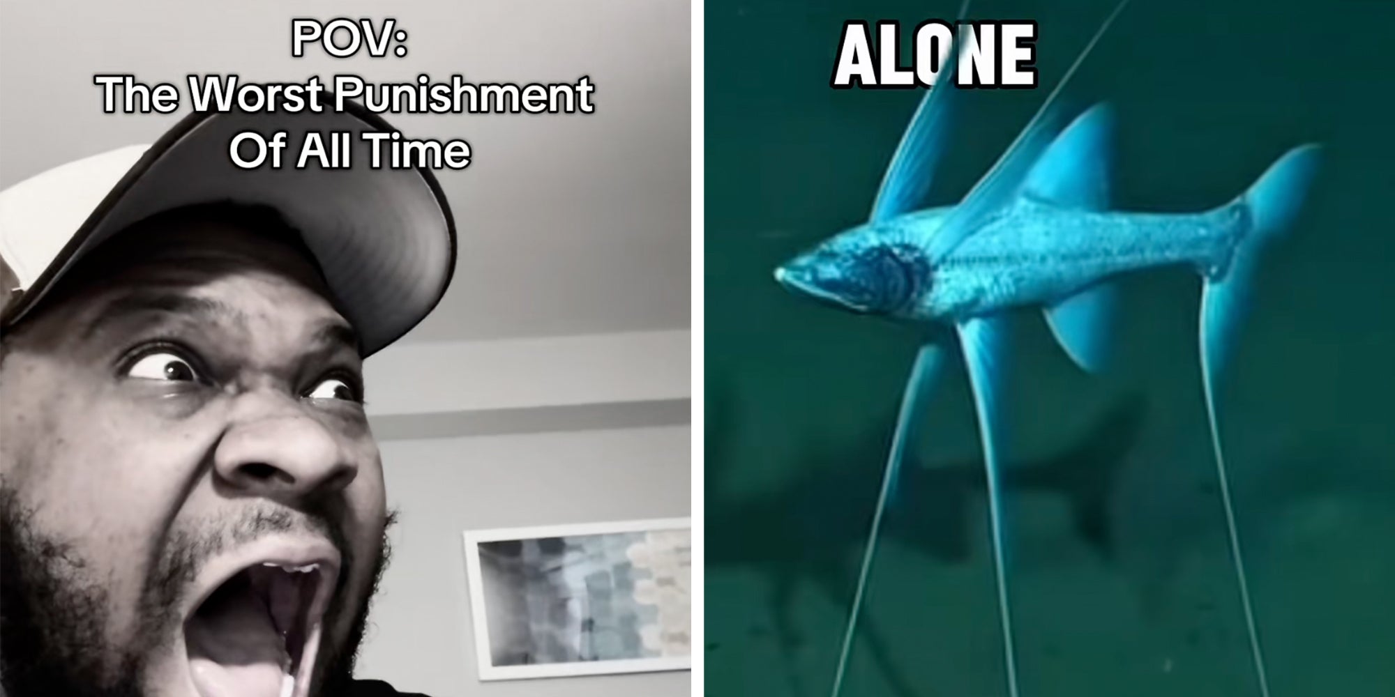 Left: Man screaming under text reading 'POV: The worst punishment of all time.' Right: Rendering of the tripod fish under text reading 'Alone.'