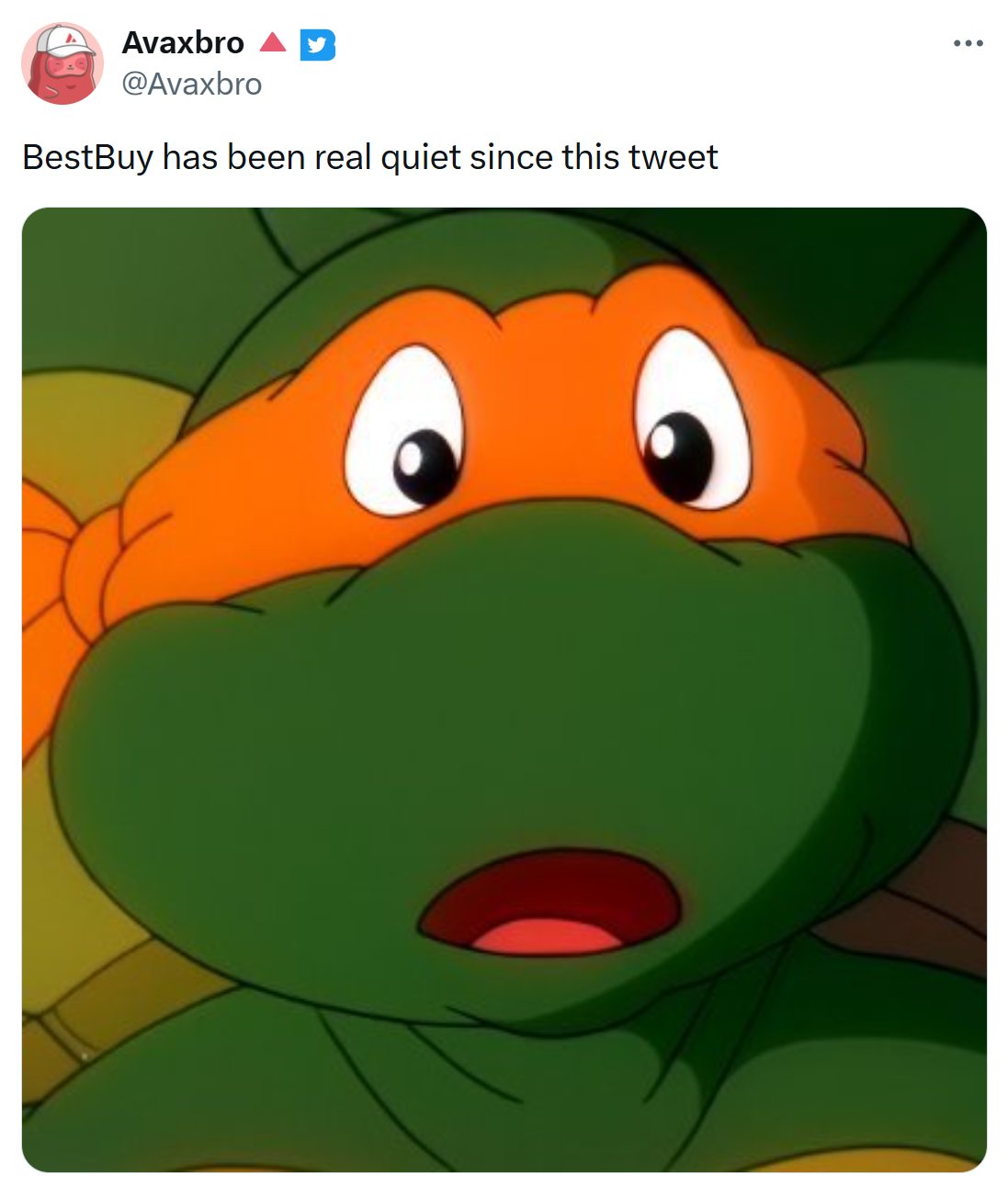 Tweet that reads, "BestBuy has been real quiet since this tweet" with one of the Teenage Mutant Ninja Turtles looking shocked.