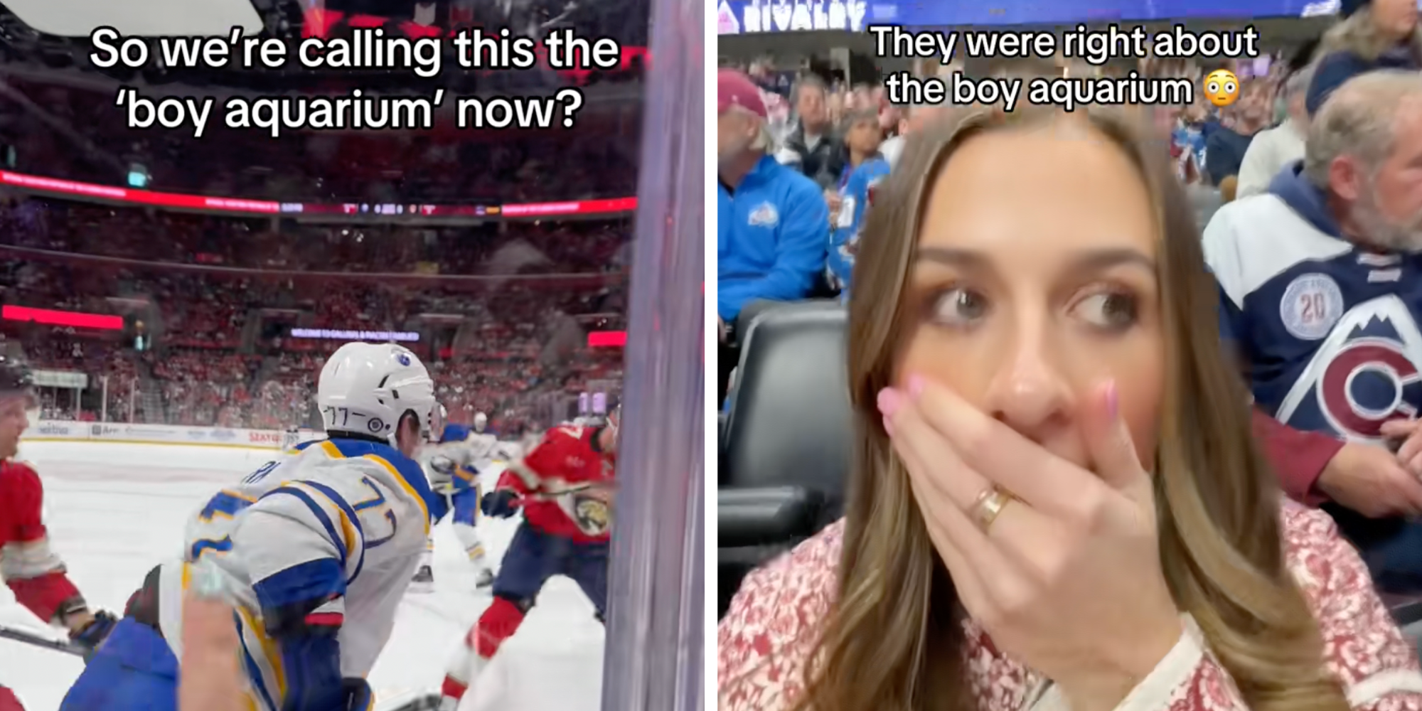 boy aquarium hockey rink slang