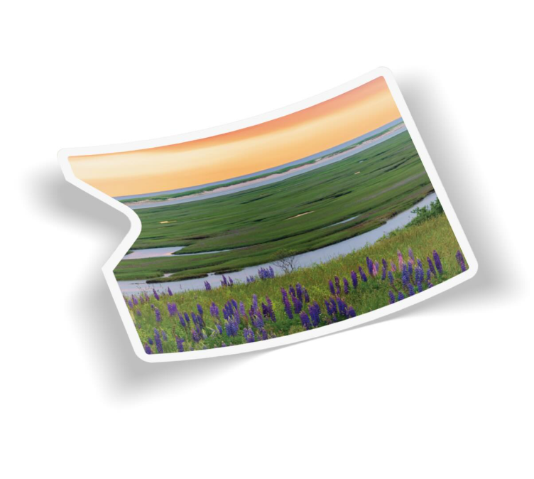 Photo sticker sample of a peaceful marshland scene.