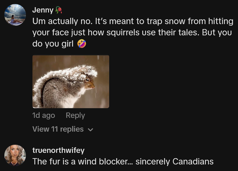 TikTok comments including one reading 'Um actually no. It’s meant to trap snow from hitting your face just how squirrels use their tales. But you do you girl'