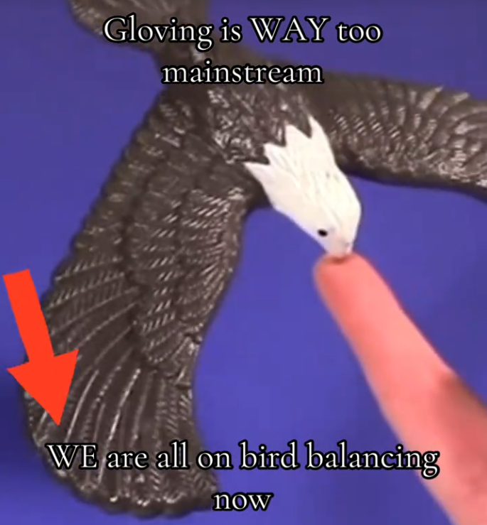 TikTok video of someone balancing an eagle figuring on one finger with a caption reading 'Gloving is WAY too mainstream. WE are all on bird balancing now.'