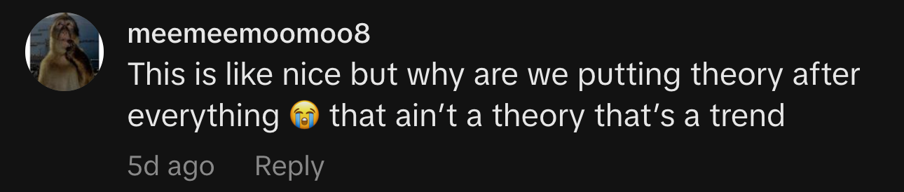 “This is like nice but why are we putting theory after everything 😭 that ain’t a theory that’s a trend”