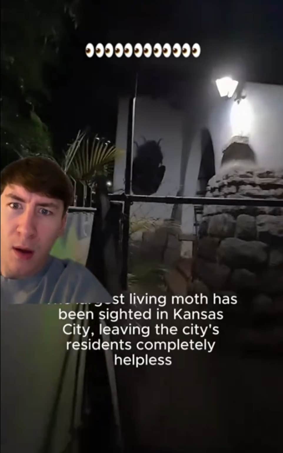 Vídeo do TikTok que afirma mostrar a mariposa de Kansas City com um homem reagindo à esquerda.