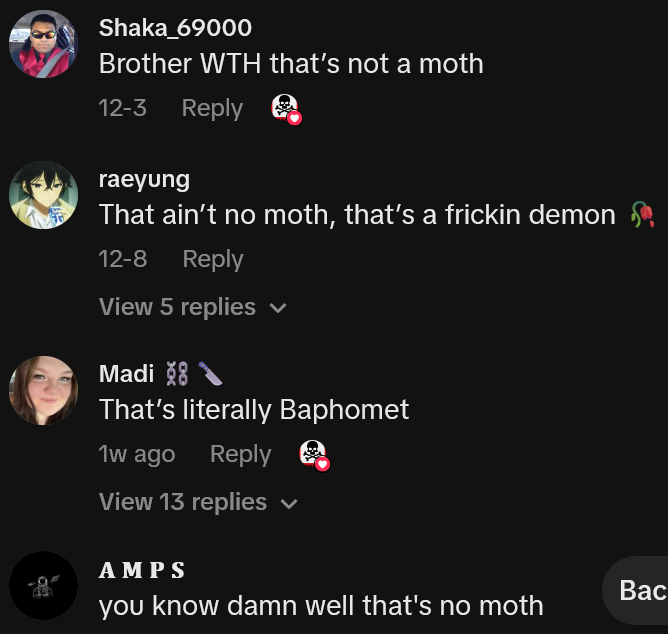TikTok comments including one reading 'Brother WTH that’s not a moth'