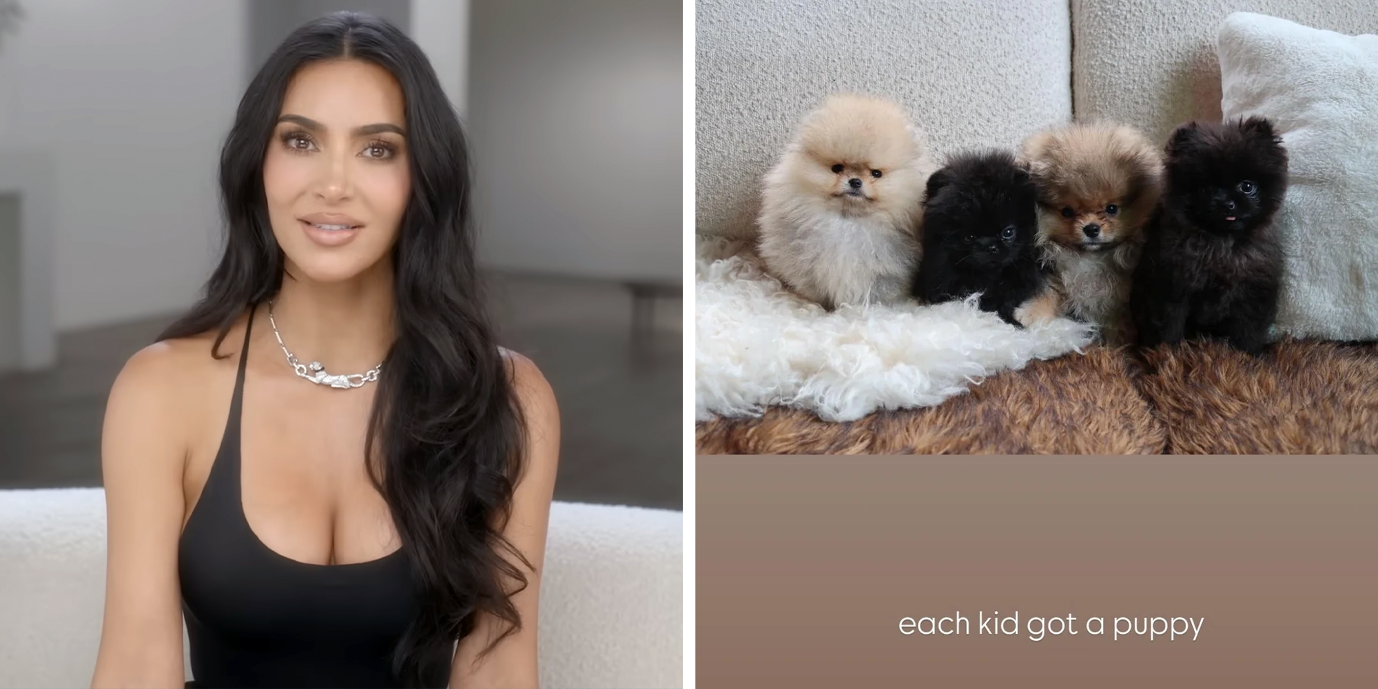 kim kardashian buys puppy for each kid