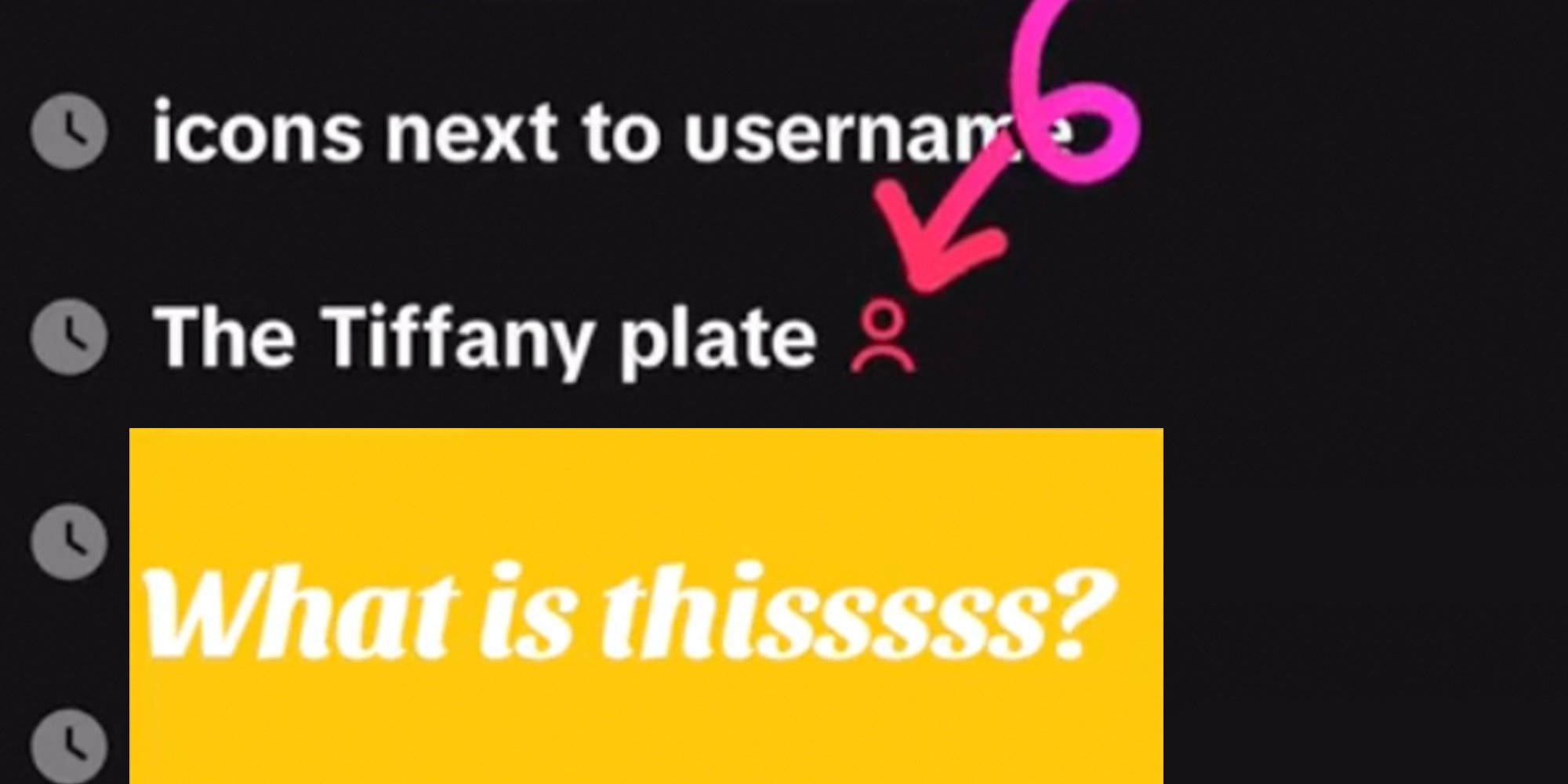 TikTok search results, one of which reads, &quot;The Tiffany plate&quot; besides a red person icon on TikTok. Text overlay reads, &quot;what is this?&quot;