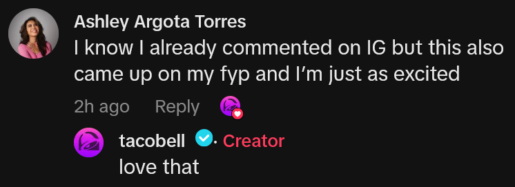 TikTok comment reading 'I know I already commented on IG but this also came up on my fyp and I’m just as excited'