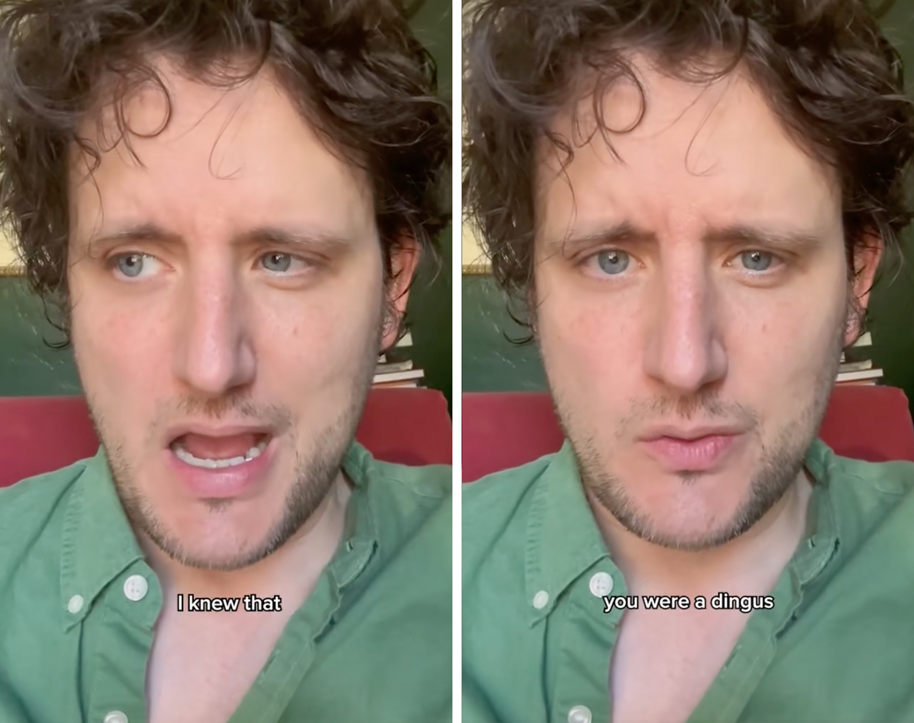 i knew that you were a dingus